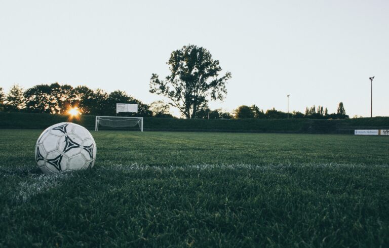 Football on Green Pitch at Dusk